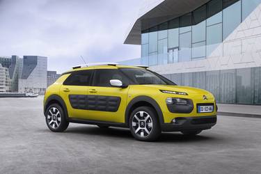 C4 Cactus  2014